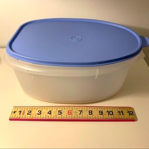 Tupperware Flavor Savor Chicken/Roast keeper